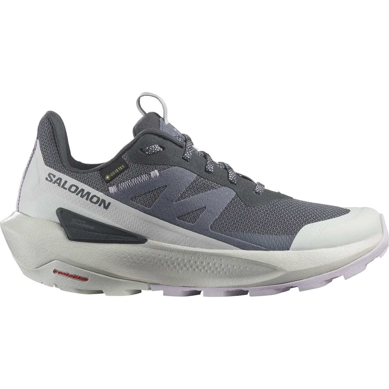 SALOMON Women's Elixir Activ Gore-tex® Shoe