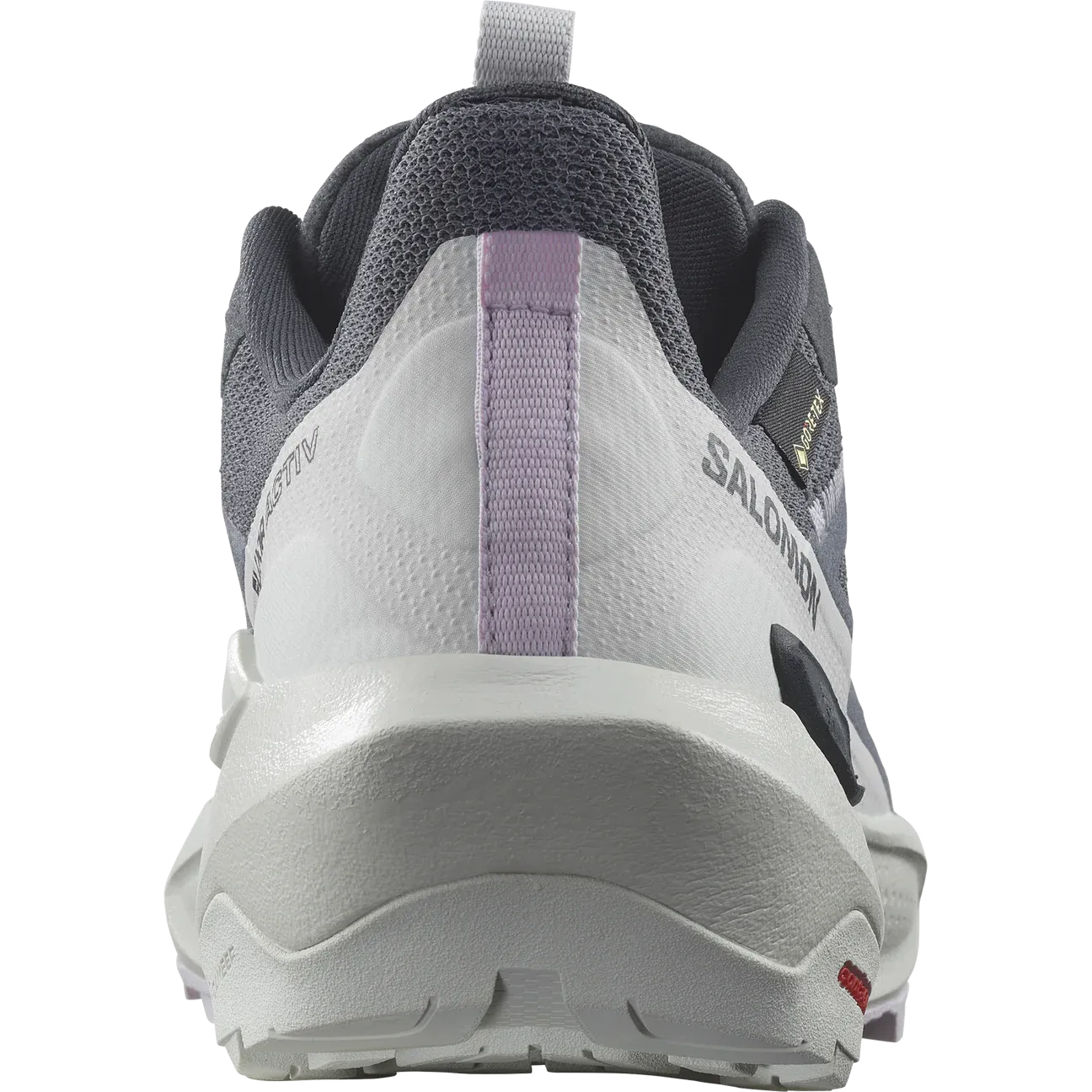SALOMON Women's Elixir Activ Gore-tex® Shoe