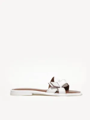 The Melissa